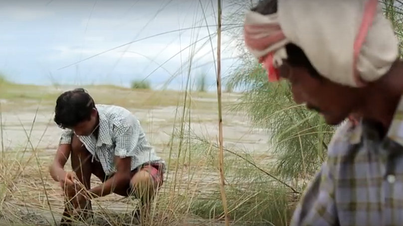 ecologisch herstel still video