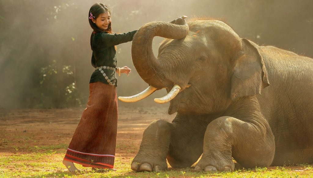 olifant