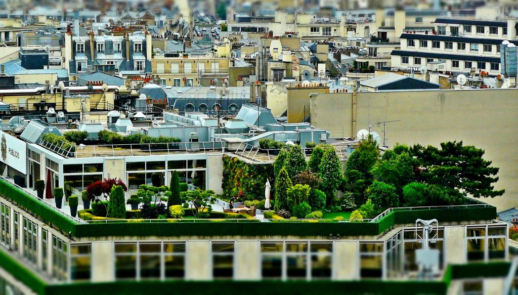 roof gardening