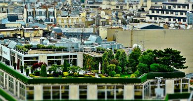 roof gardening