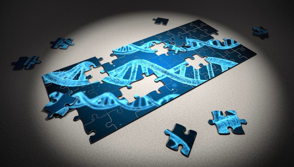 DNA