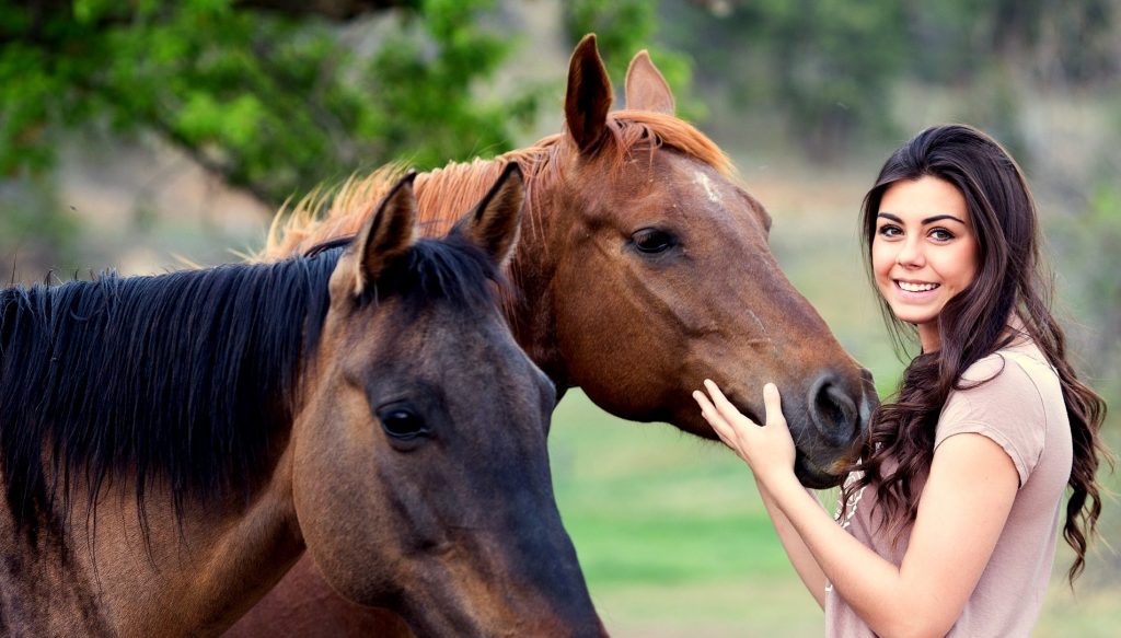 paard