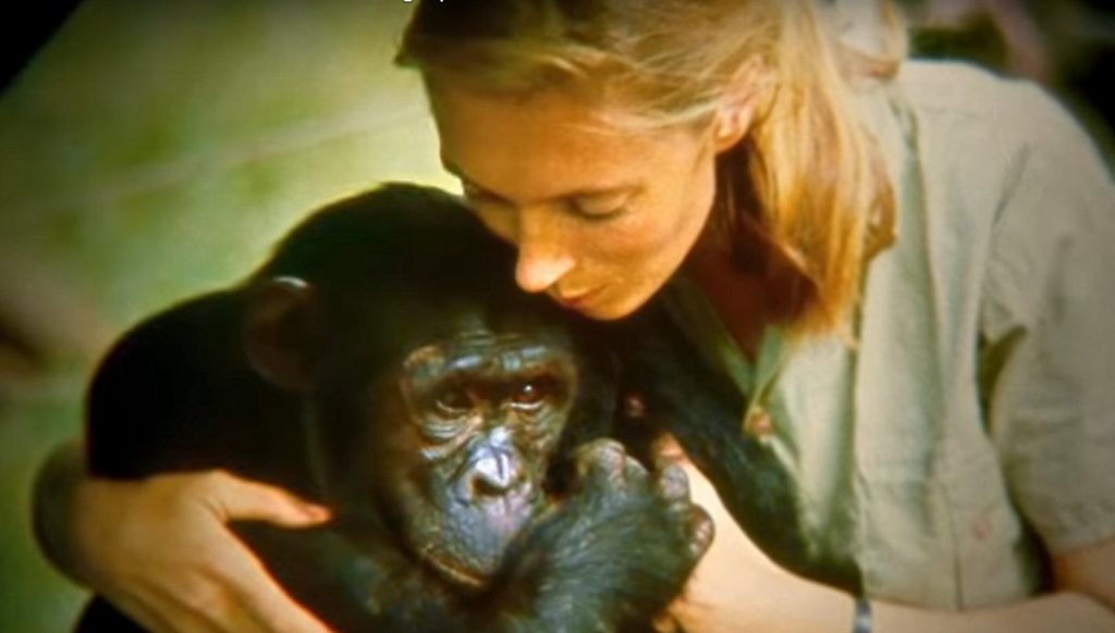 Dr. Jane Goodall's