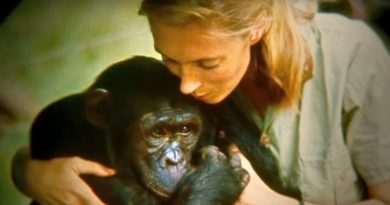 Dr. Jane Goodall's