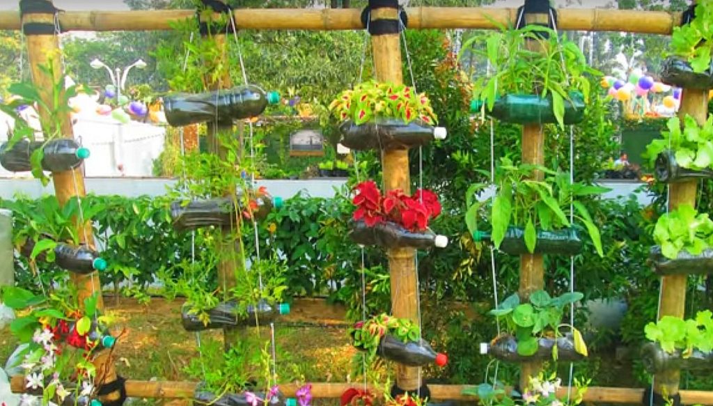 Vertical gardening