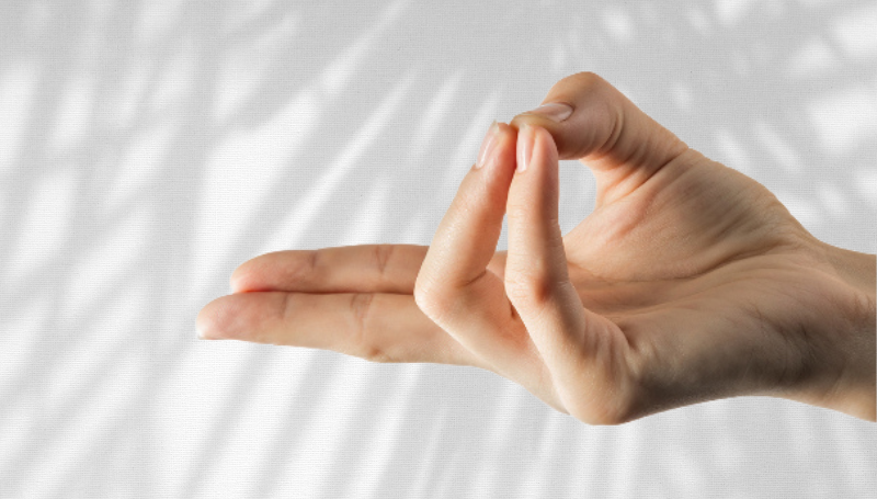 Prana Mudra 