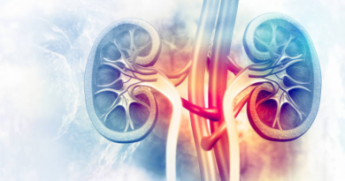 The metaphysical functionality of the kidneys