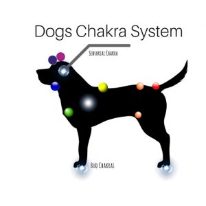 dogchakra