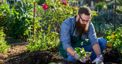 urban gardening