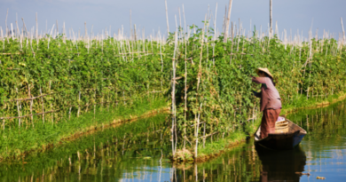 drijvende moestuinen