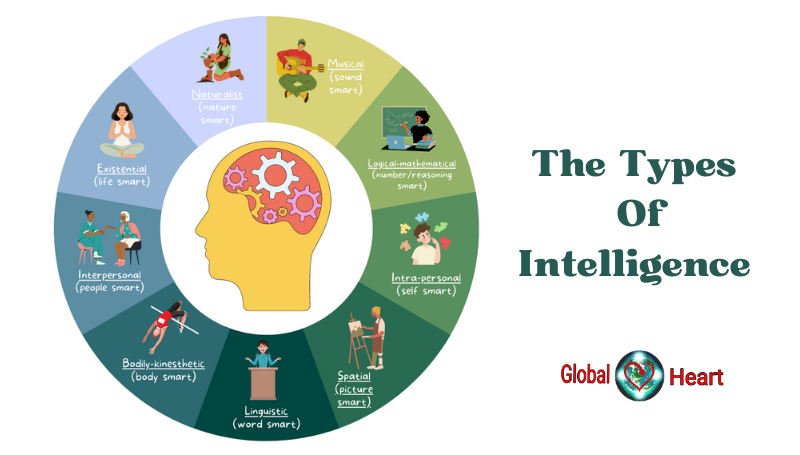 The Types Of Intelligence