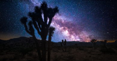 Astrology for the Soul June 28, 2023