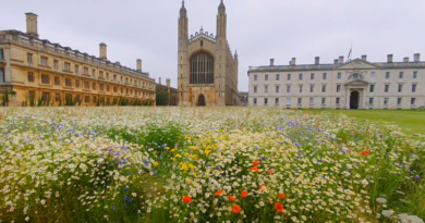 Universiteit Cambridge