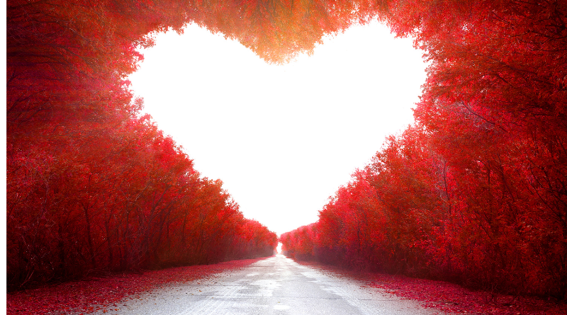 made of love