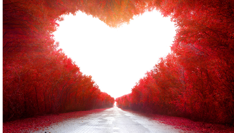 made of love