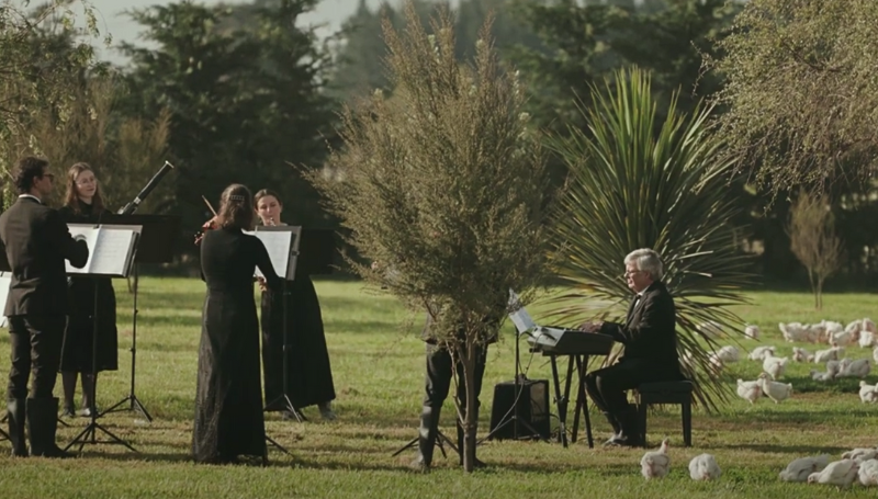 Nieuw-Zeelands orkest