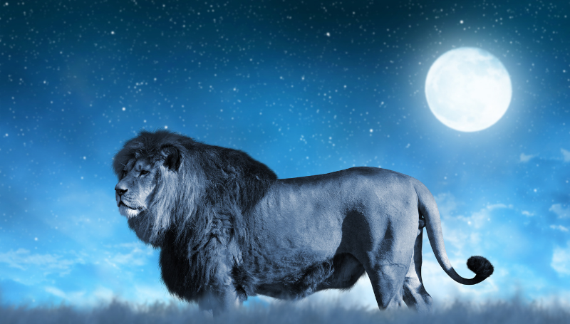 Astrology for the Soul January 24, 2024