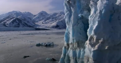 Yann Arthus-Bertrand