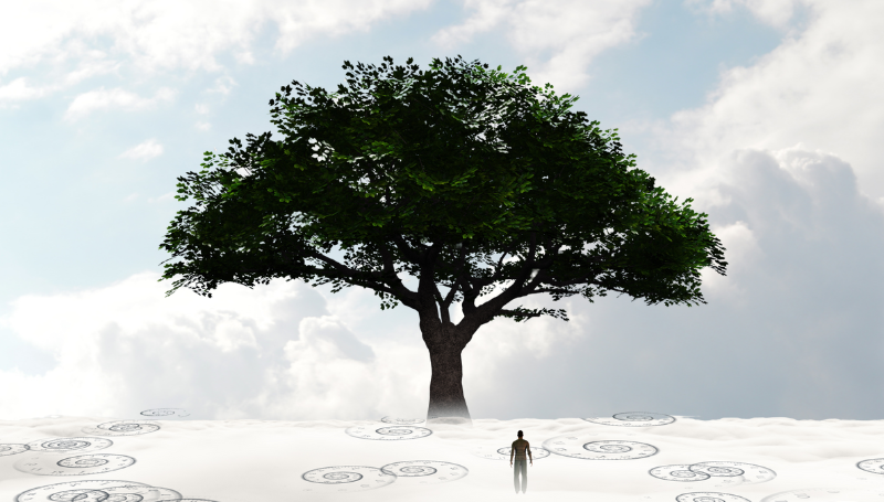 character transformation