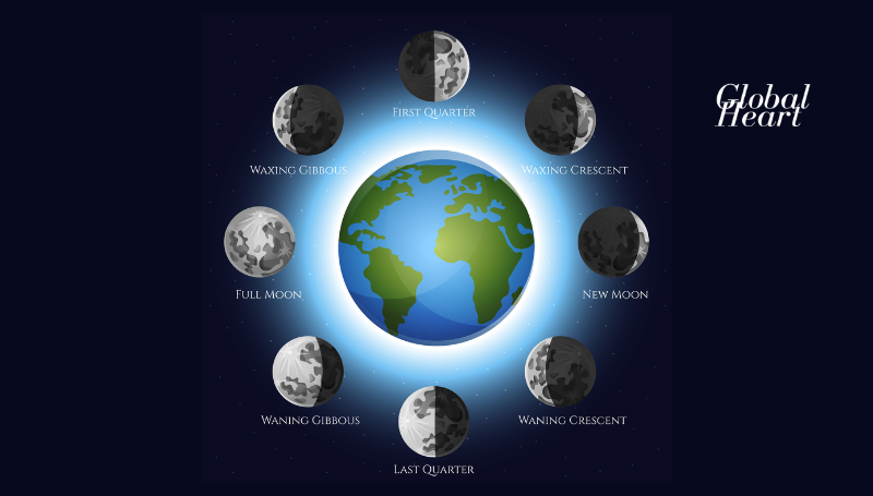 moon phases