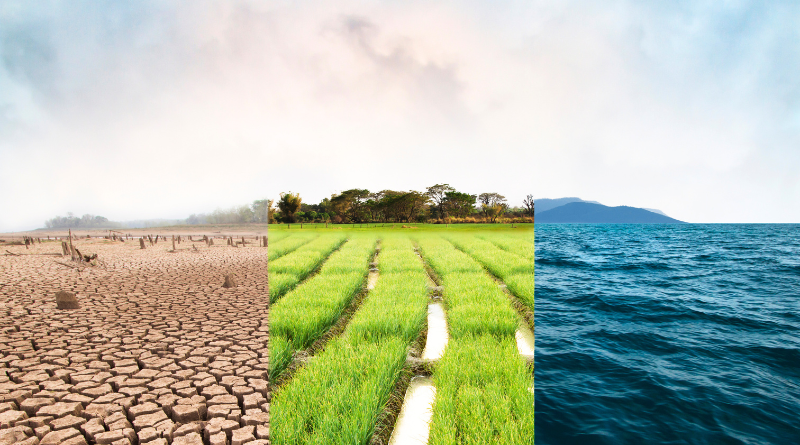 water crisis