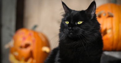 Samhain