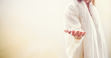 Types of spirit guides