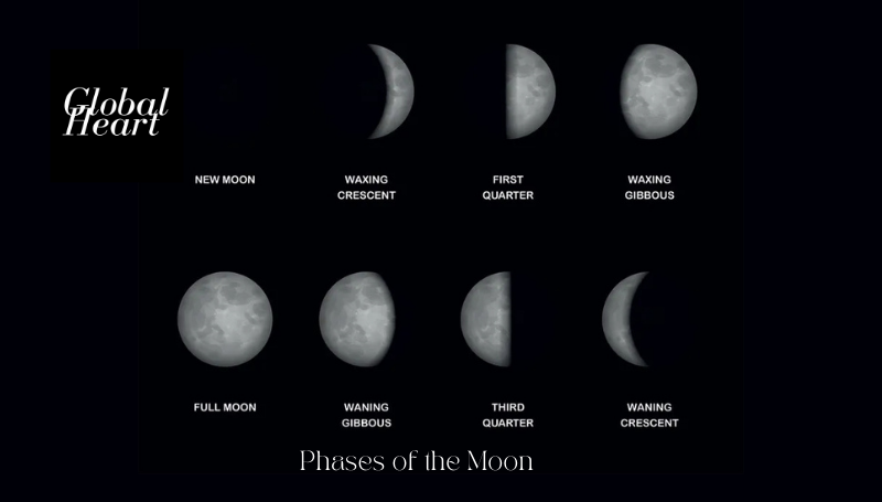 Moon phases