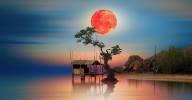 Astrology for the Soul March 19, 2025