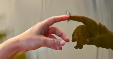 The law of cause and effect