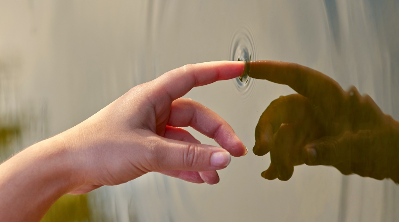 The law of cause and effect