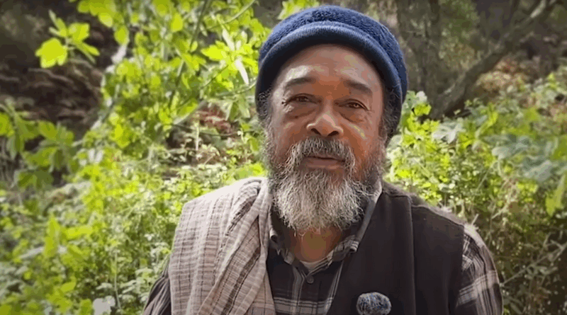 Moojibaba