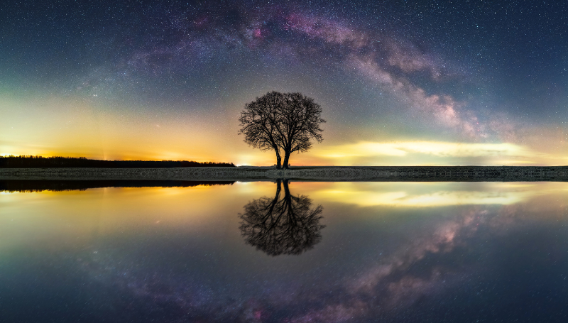 extraordinary life