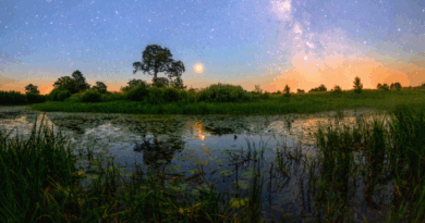 Astrology for the Soul April 30, 2025