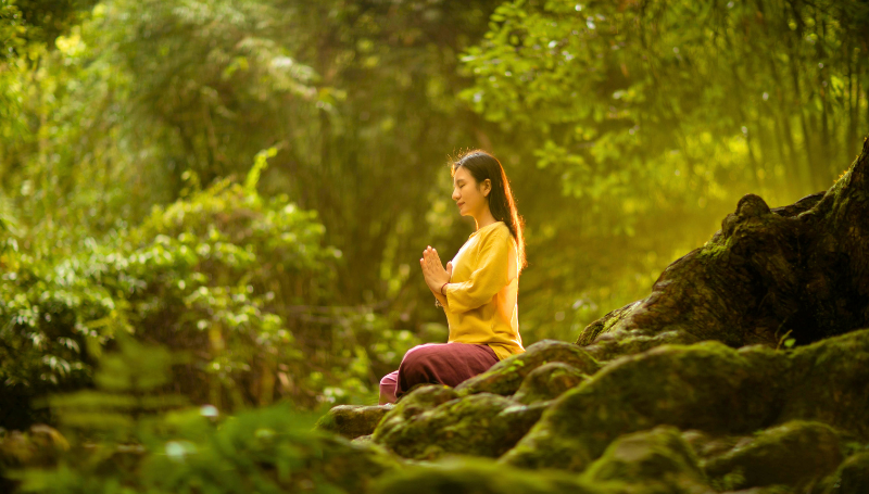 Forest Bathing