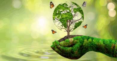 klimaatverandering