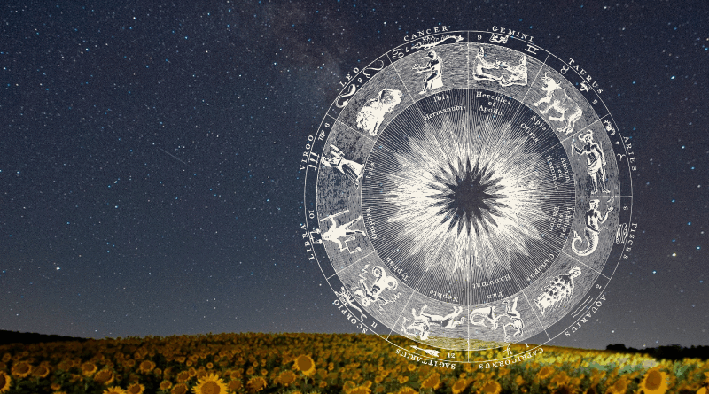 kruiden sterrenbeeld