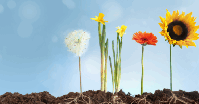 Gardening