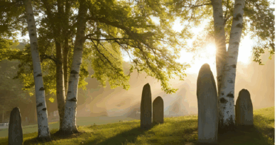 Keltische boomalfabet