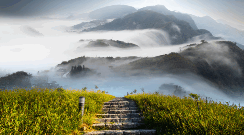 Shamanic Healing