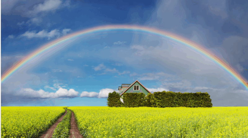 rainbows