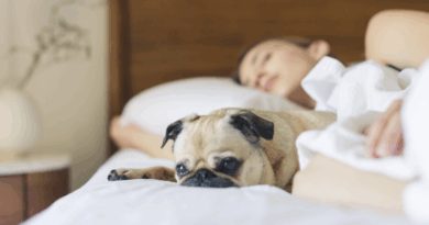 sleeping benefits