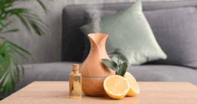 zomer diffuser blends