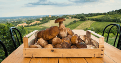 mushrooms