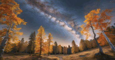 Astrologie voor de ziel 19 november 2025