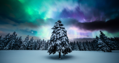 Astrologie voor de ziel 21 januari 2026