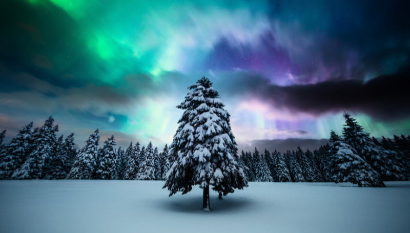 Astrologie voor de ziel 21 januari 2026