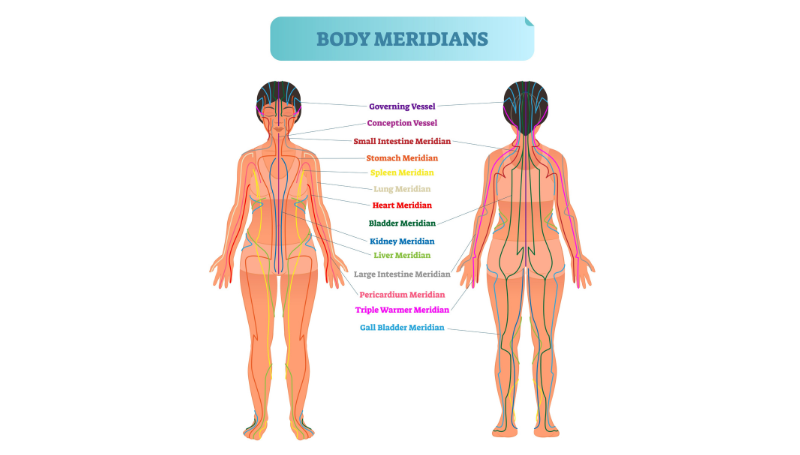 Meridians