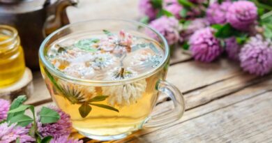 Overgang en thee.Glazen kop verse rode klaver thee op een houten tafel met paarse klaverbloemen en honing.