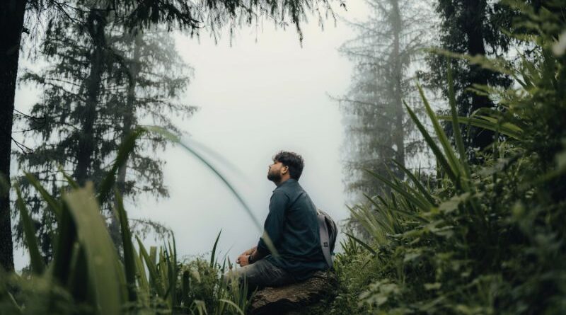 Een man die in stilte op een rots zit in een mistig bos, symbool voor dadirri en diepe verbinding met de natuur.